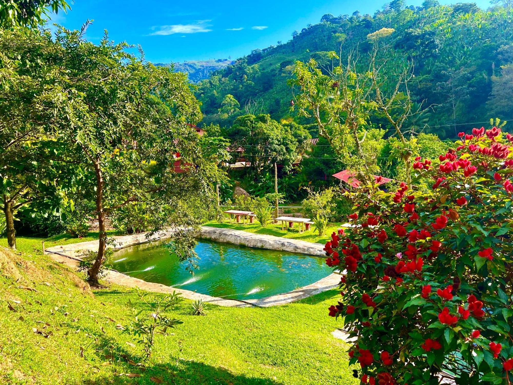 Hotel Campestre La Playa Betania Exterior foto